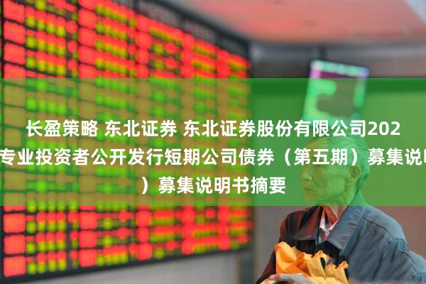 长盈策略 东北证券 东北证券股份有限公司2025年面向专业投资者公开发行短期公司债券（第五期）募集说明书摘要