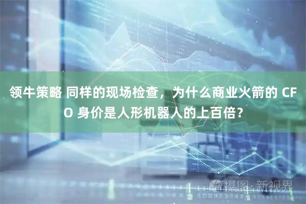 领牛策略 同样的现场检查，为什么商业火箭的 CFO 身价是人形机器人的上百倍？