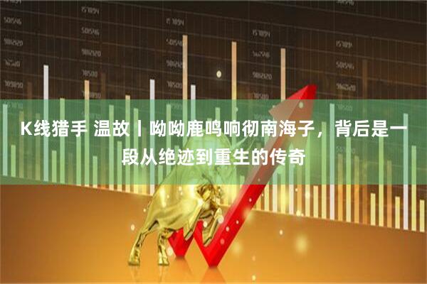 K线猎手 温故丨呦呦鹿鸣响彻南海子，背后是一段从绝迹到重生的传奇